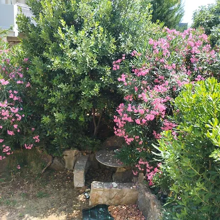 Appartement Miran Ivanica