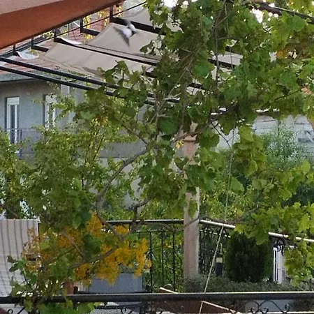 Apartment Miran Ivanica