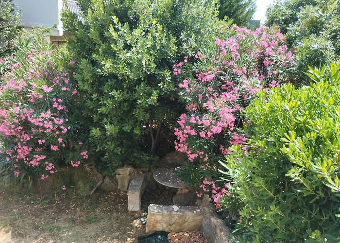 Apartment Miran Ivanica