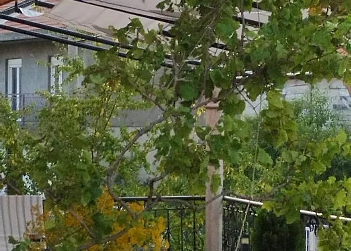 Apartment Miran Ivanica